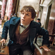 Image for article titled We Just Learned All About the Plot and Characters Of the Harry Potter-Prequel Fantastic Beasts